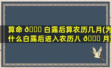 算命 🐟 白露后算农历几月(为什么白露后进入农历八 🐟 月)